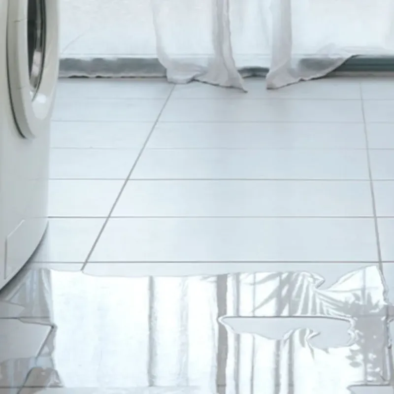 Appliance Leak Cleanup in Wanatah, IN
