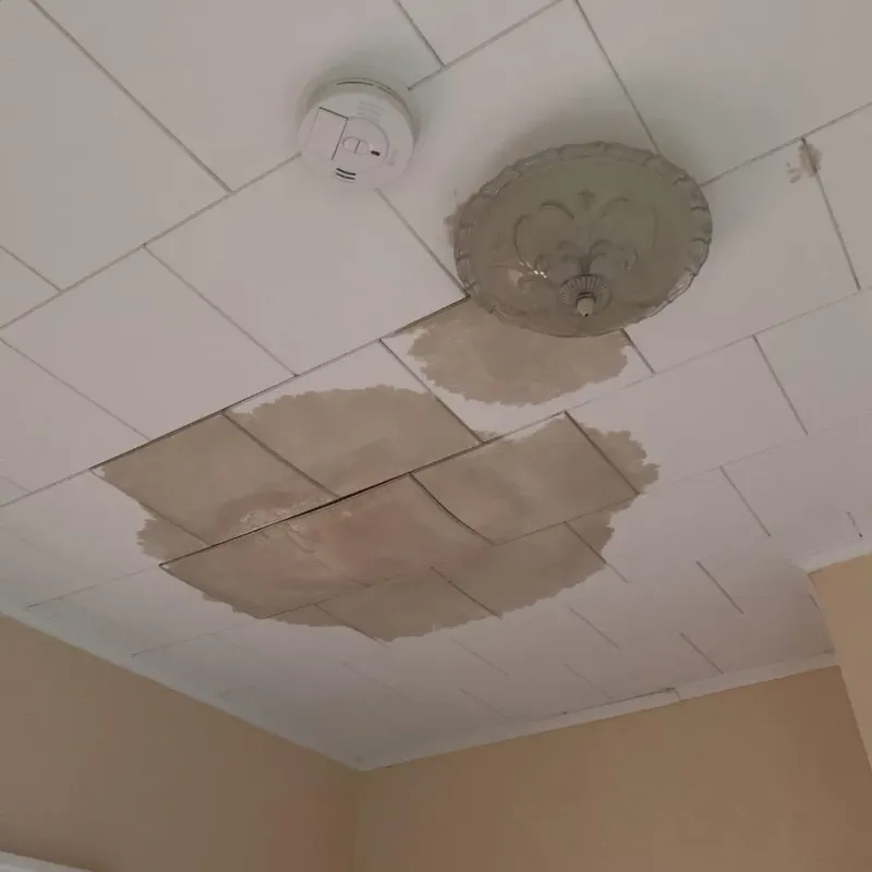 Ceiling Water Damage Repair in Wanatah, IN
