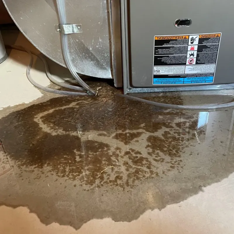 Pipe Burst and Leak Restoration in Wanatah, IN